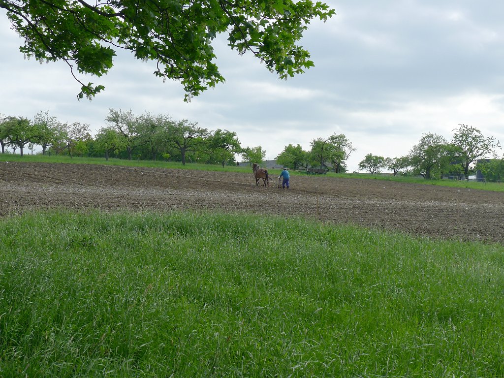 PavlaCzechVisit 206